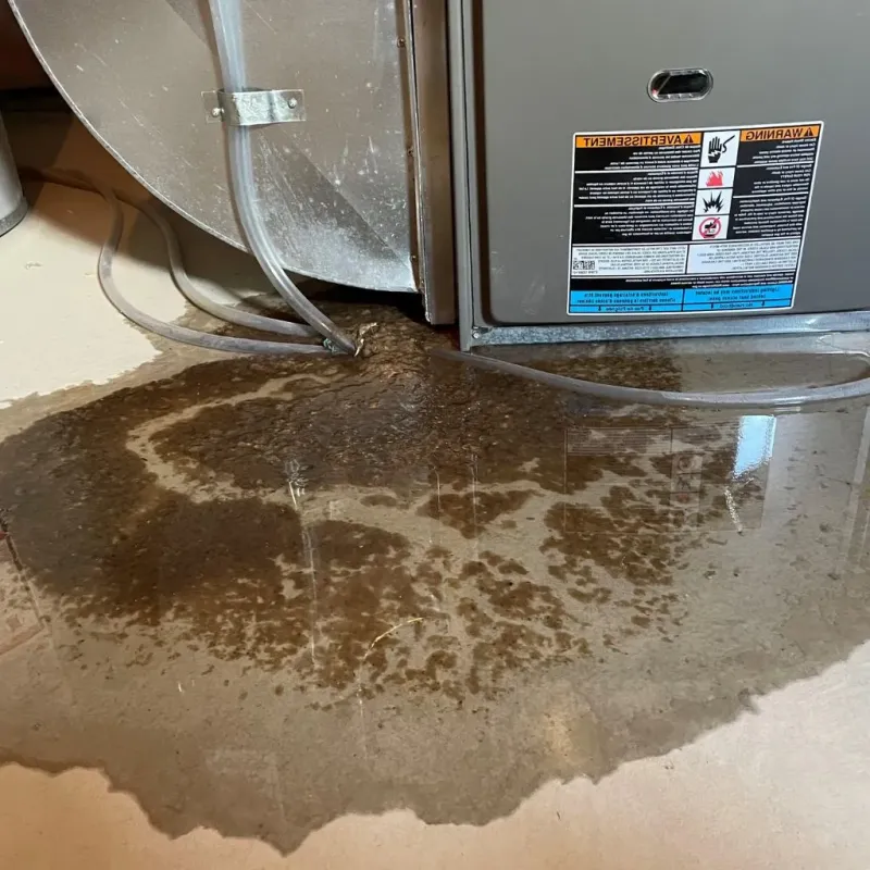 Pipe Burst and Leak Restoration in Calumet County, WI