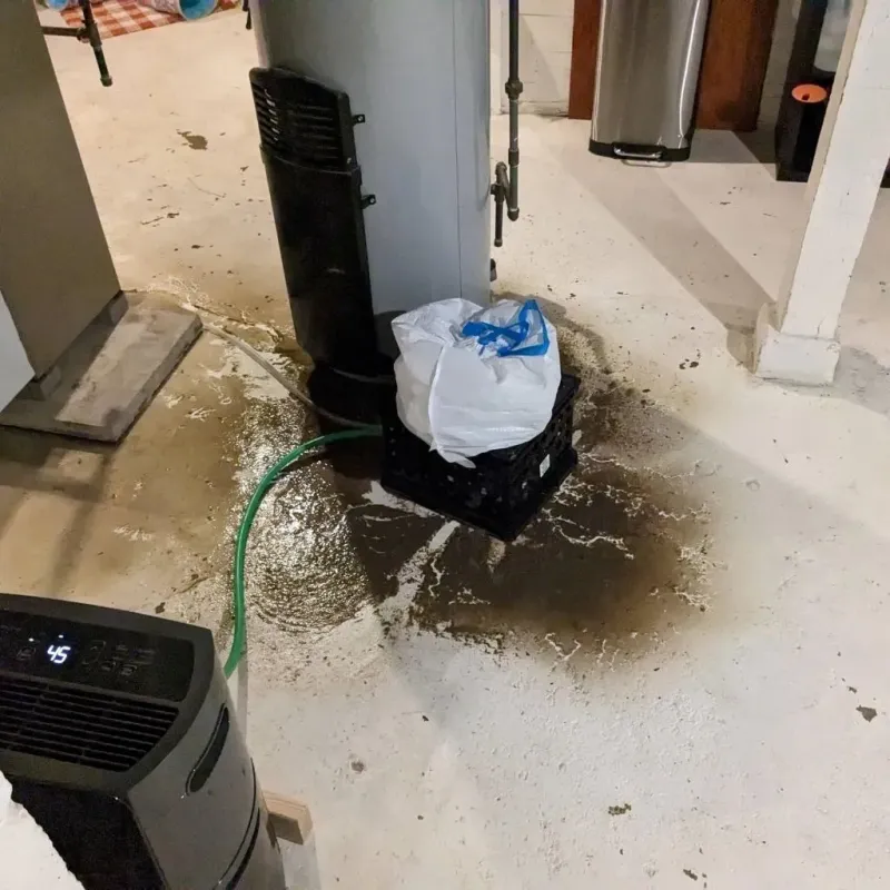 Sewage Backup Cleanup Service in Calumet County, WI